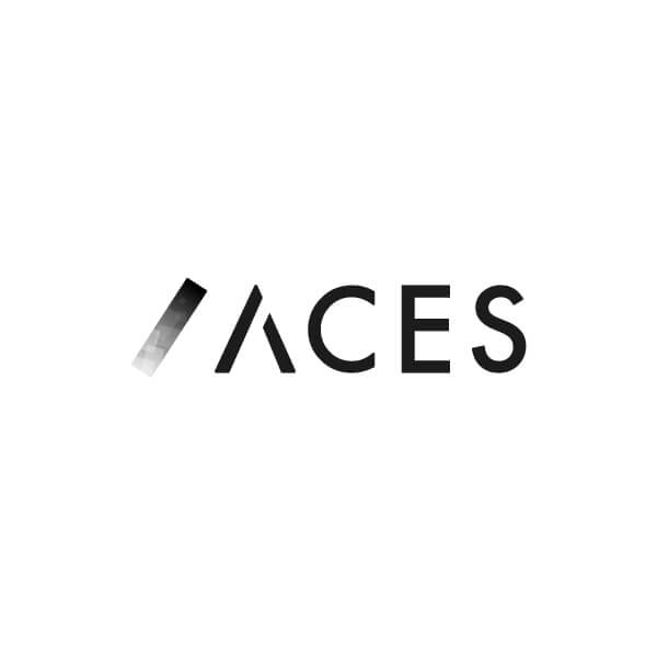 株式会社ACES